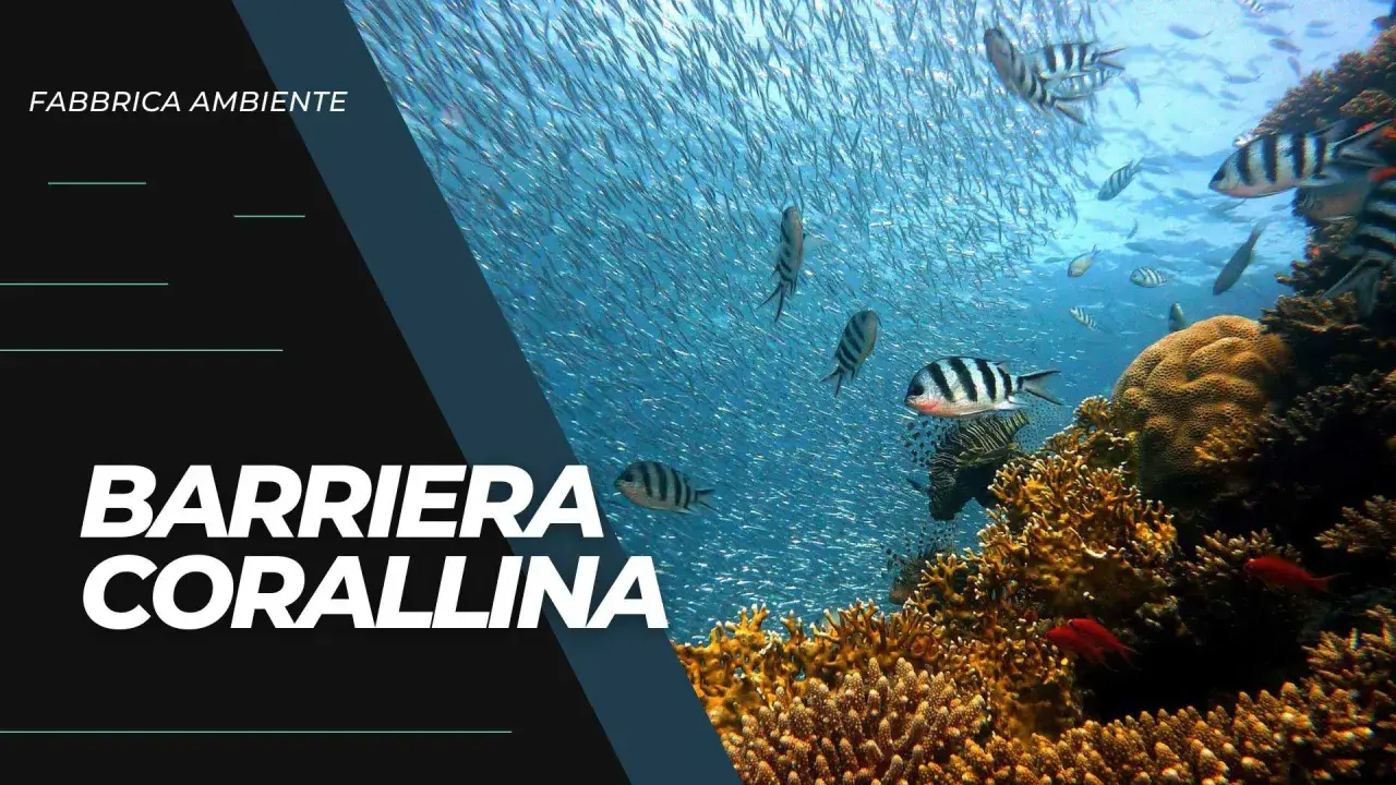 Una barriera corallina vibrante, piena di pesci, minacciata dall'inquinamento.
