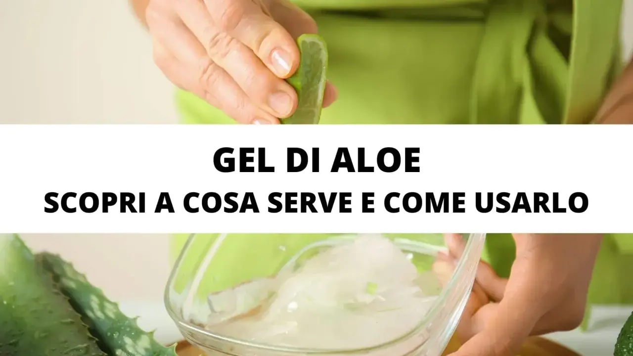 Gel di aloe vera: scopri a cosa serve e come usarlo per la tua pelle.