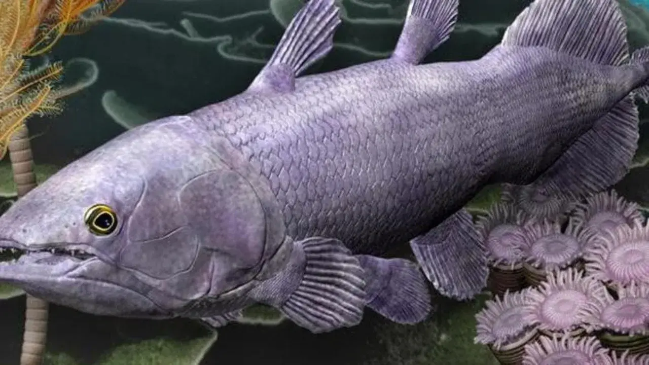 Un antico celacanto pesce, con scaglie violacee e pinne lobate, nuota tra anemoni marini e crinoidi.