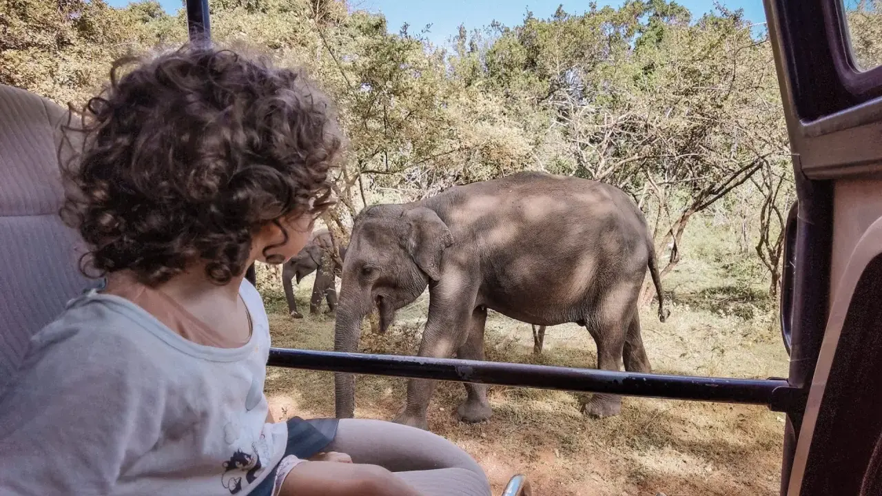 Bambini in safari in Sri Lanka osservano elefanti nella savana. Un'avventura indimenticabile per tutta la famiglia.