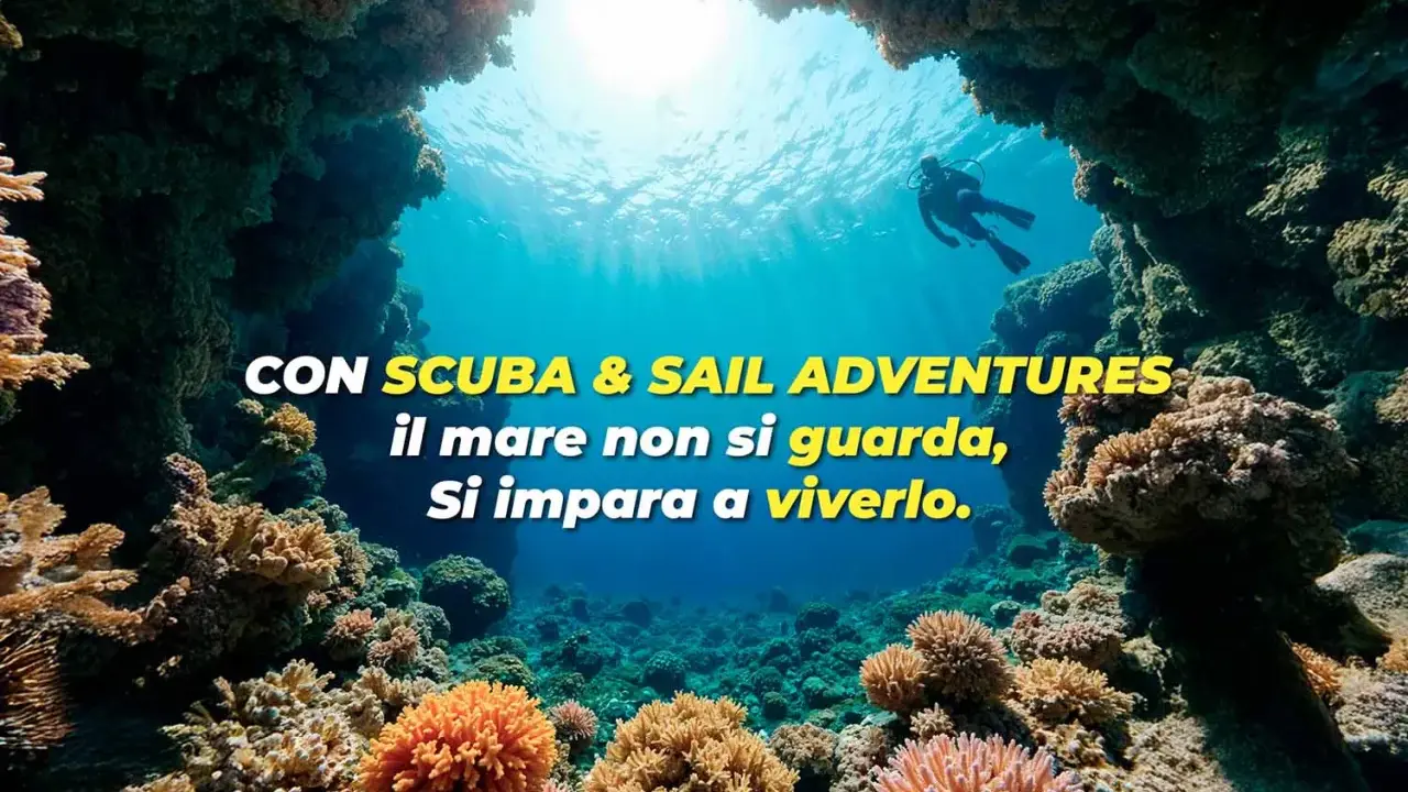 Subacqueo esplora un colorato reef corallino. L'immersione sportiva ti porta a vivere il mare, non solo a guardarlo.