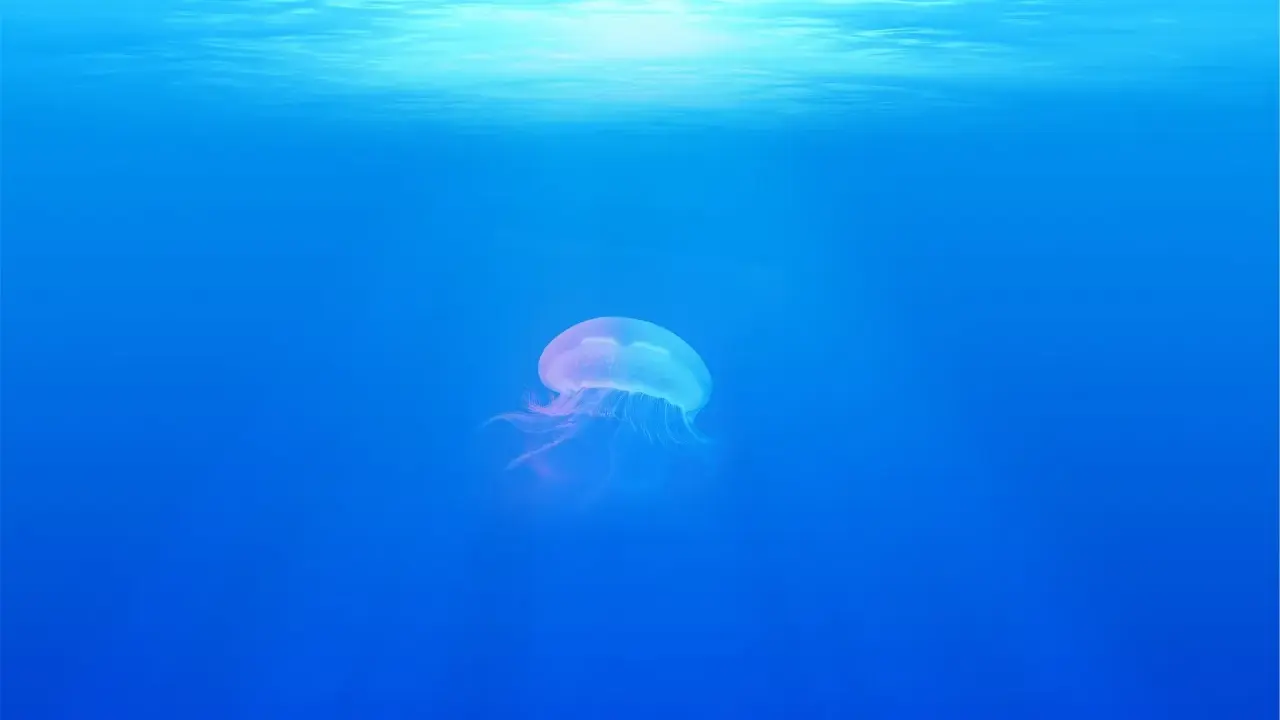 Una medusa trasparente fluttua nelle acque blu della Sardegna, illuminata dalla luce solare che filtra dall'alto.