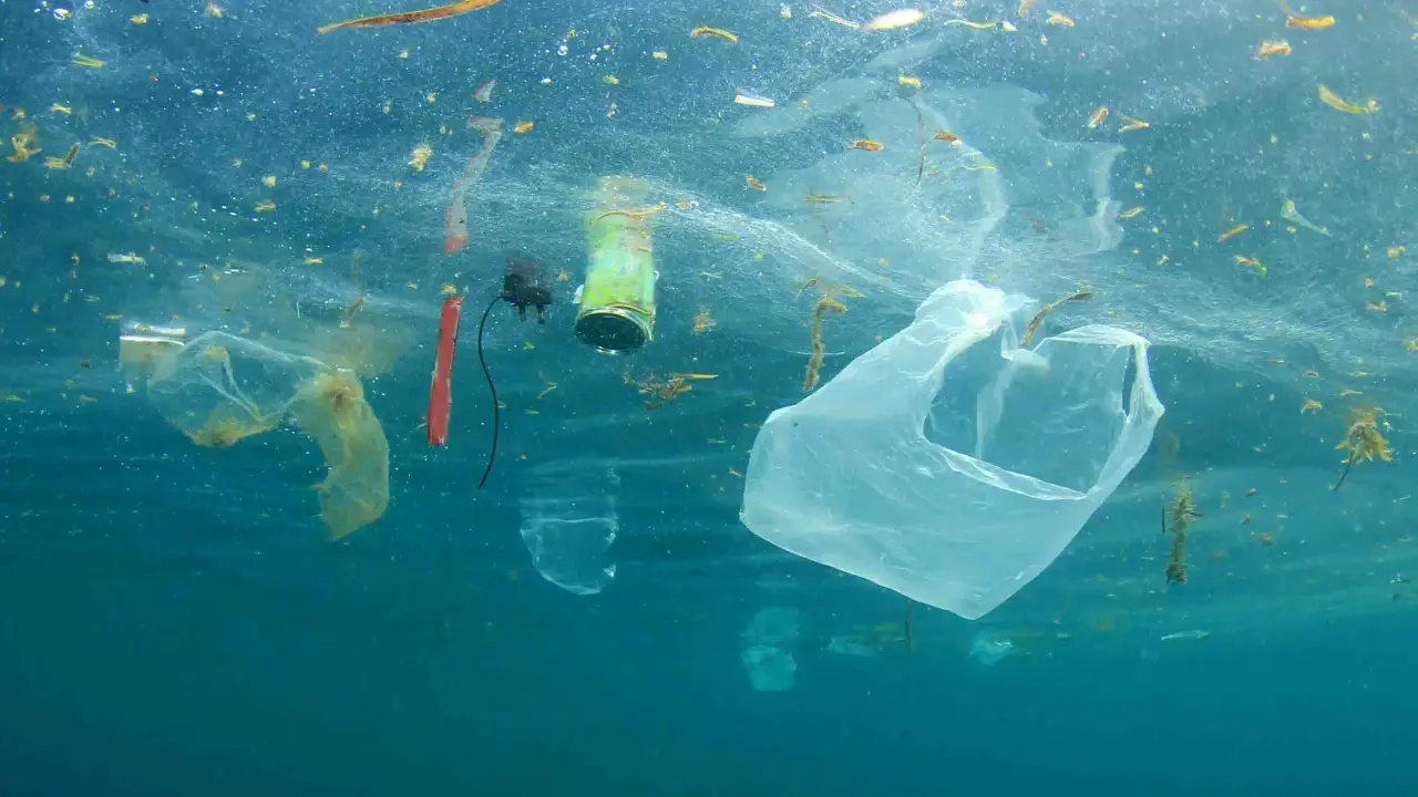 Sacchetti di plastica e rifiuti galleggiano nell'oceano, un triste promemoria che ci sono 5 modi per salvare il mare.