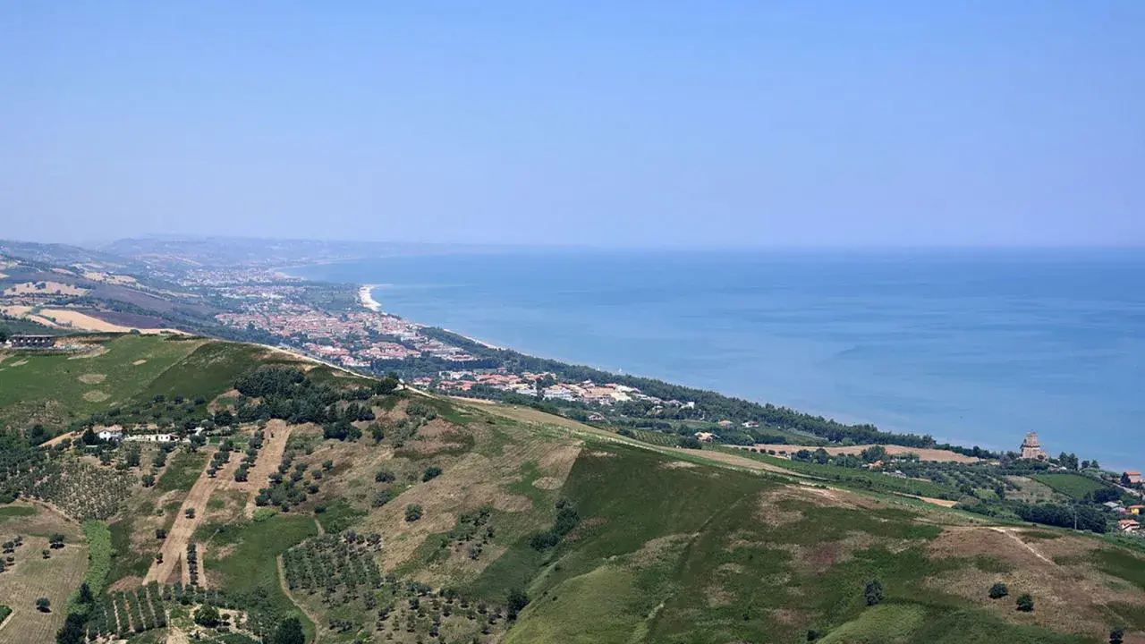 Panoramica collinare con uliveti e vigneti che scende verso la costa adriatica, con la città di Teramo e il mare sullo sfondo.