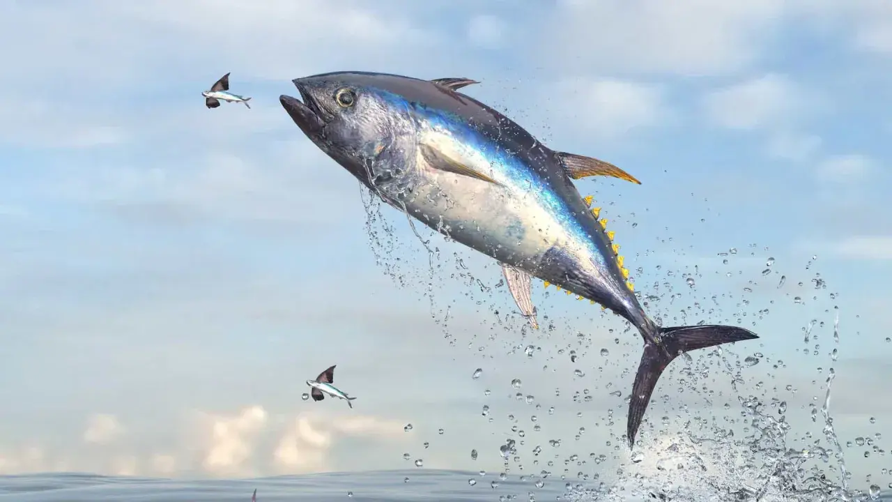 Un tonno balza fuori dall'acqua, circondato da spruzzi, con due pesci volanti che gli volano accanto. La pesca tonno è un'attività emozionante.