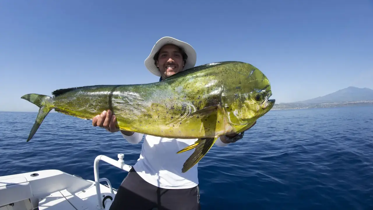 Un pescatore sorridente mostra un grande lampuga, un esempio di cosa si pesca in Sicilia, con il mare blu e una costa all'orizzonte.