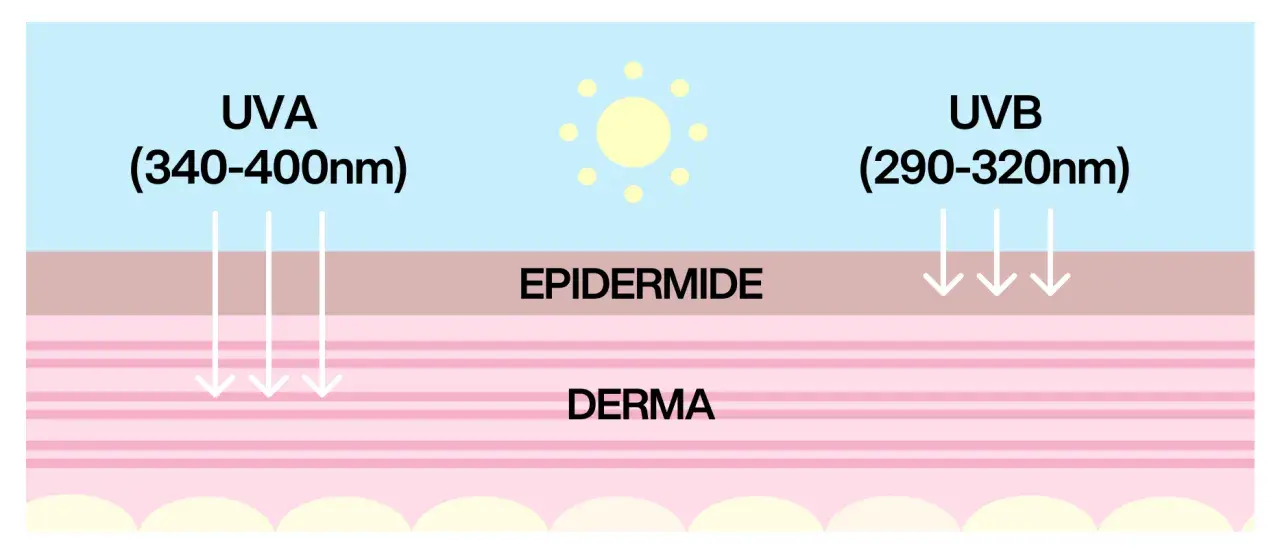 Schema che illustra come i raggi UVA e UVB penetrano nella pelle. La protezione 20 quanto protegge dipende da questi raggi.