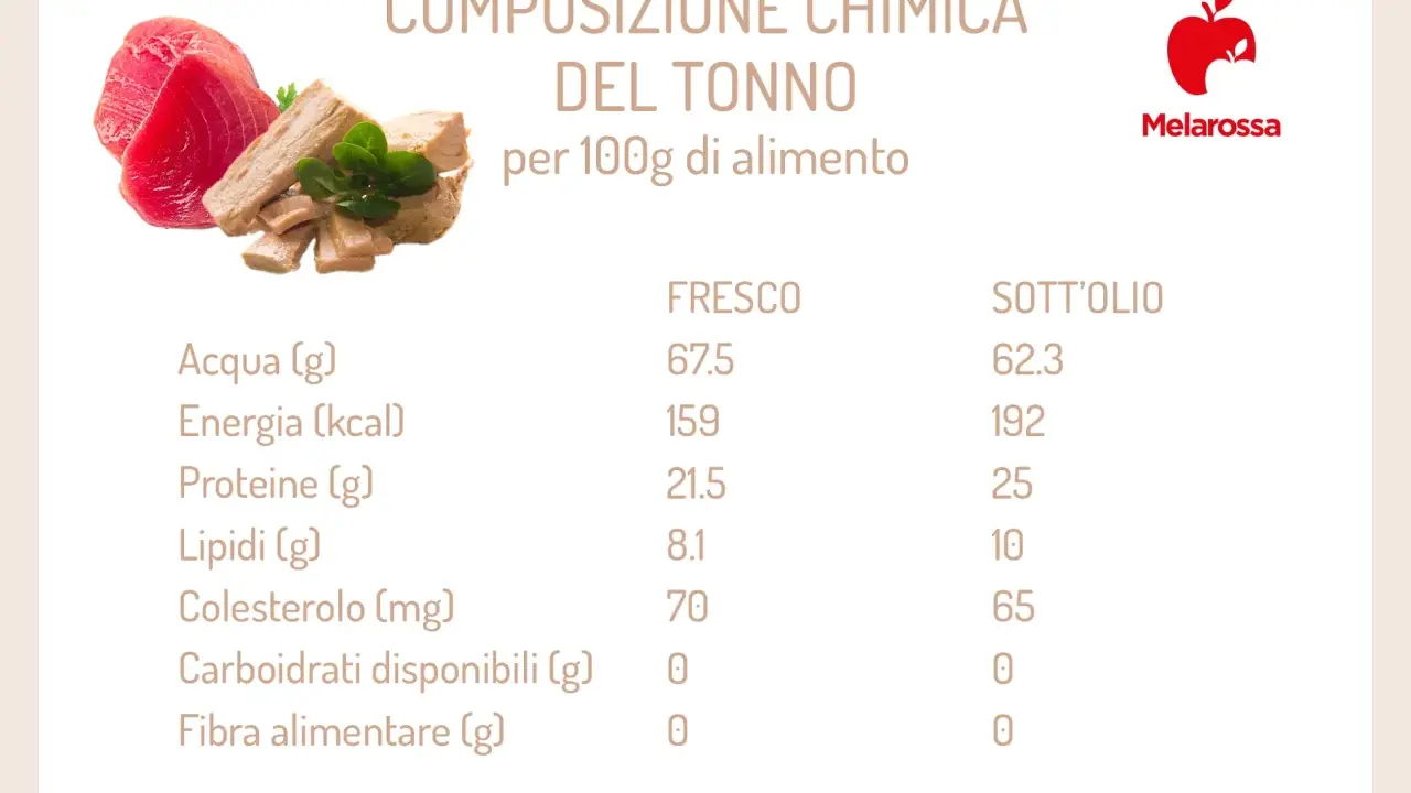 Composizione chimica del tonno: scopri le proprietà nutrizionali del tonno fresco e sott'olio per 100g.