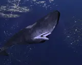 Un capodoglio più grande del mondo nuota nell'oceano blu, circondato da un banco di pesci scintillanti.