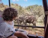 Bambini in safari in Sri Lanka osservano elefanti nella savana. Un'avventura indimenticabile per tutta la famiglia.