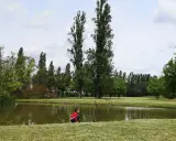Bambino in gita al Delta del Po, seduto sull'erba vicino a uno stagno, circondato da alberi alti e verdi.