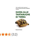 Guida alle tartarughe di terra, con focus su Testudo hermanni, marginata e graeca. Immagine di una tartaruga terrestre.