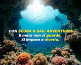 Subacqueo esplora un colorato reef corallino. L'immersione sportiva ti porta a vivere il mare, non solo a guardarlo.