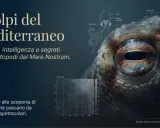 Occhio di polpo del Mediterraneo, con diagrammi di anatomia e profondità. Un viaggio alla scoperta dei polipi marini.