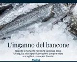 Merluzzi freschi su ghiaccio. Scopri quanto pesa un merluzzo e come distinguerlo dal nasello per fare acquisti consapevoli.