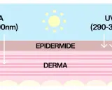 Schema che illustra come i raggi UVA e UVB penetrano nella pelle. La protezione 20 quanto protegge dipende da questi raggi.