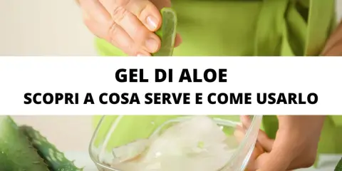Gel di aloe vera: scopri a cosa serve e come usarlo per la tua pelle.