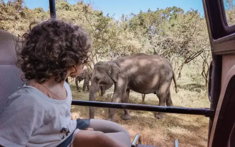 Bambini in safari in Sri Lanka osservano elefanti nella savana. Un'avventura indimenticabile per tutta la famiglia.