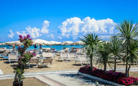 Spiaggia attrezzata con lettini e ombrelloni, palme e fiori colorati. Un'oasi di relax al Valentini Family Village, dove l'Hotel Rosalba vi aspetta.
