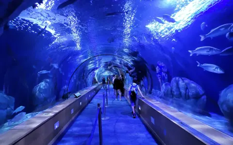 Tunnel sottomarino in un museo oceanografico, con persone che camminano tra pesci e rocce illuminate di blu.