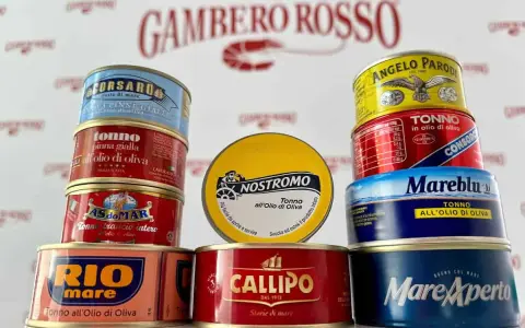 Varie scatolette di tonno in olio d'oliva, marchi come Rio Mare, Callipo, Mareblu, Nostromo, Angelo Parodi e altri, pronte per una gustosa insalata di tonno.