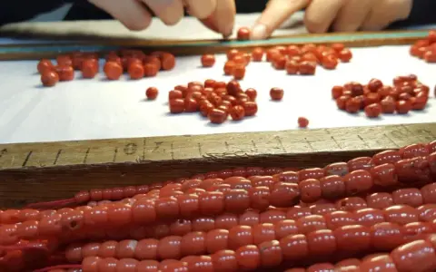 Mani che selezionano perle di corallo rosso, un processo che ricorda come si pulisce il corallo per creare gioielli.