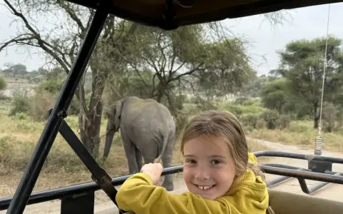 Un'avventura indimenticabile a Zanzibar con bambini: un elefante appare sullo sfondo mentre una bambina sorride dal fuoristrada.
