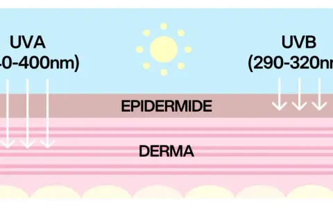 Schema che illustra come i raggi UVA e UVB penetrano nella pelle. La protezione 20 quanto protegge dipende da questi raggi.