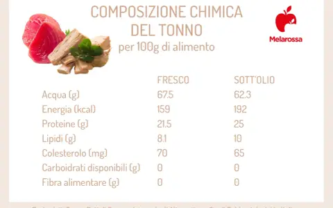 Composizione chimica del tonno: scopri le proprietà nutrizionali del tonno fresco e sott'olio per 100g.