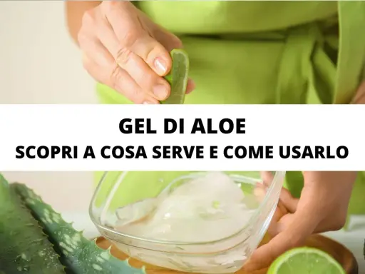 Gel di aloe vera: scopri a cosa serve e come usarlo per la tua pelle.
