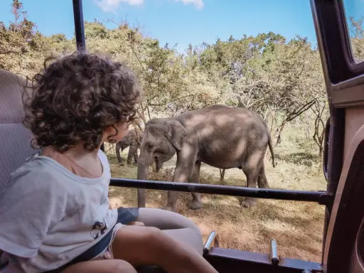 Bambini in safari in Sri Lanka osservano elefanti nella savana. Un'avventura indimenticabile per tutta la famiglia.