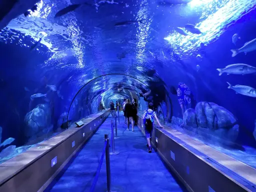 Tunnel sottomarino in un museo oceanografico, con persone che camminano tra pesci e rocce illuminate di blu.