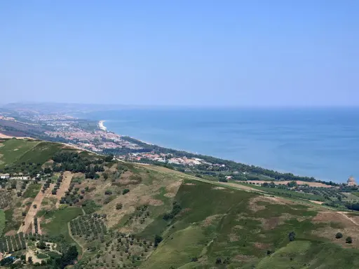 Panoramica collinare con uliveti e vigneti che scende verso la costa adriatica, con la città di Teramo e il mare sullo sfondo.
