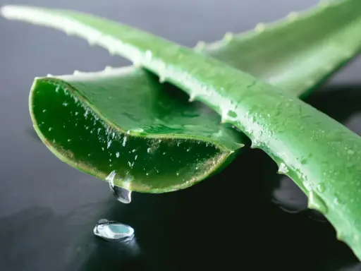 Gel di aloe vera che gocciola da una foglia tagliata, ideale per l'irritazione della pelle.