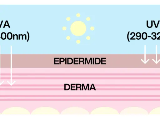 Schema che illustra come i raggi UVA e UVB penetrano nella pelle. La protezione 20 quanto protegge dipende da questi raggi.