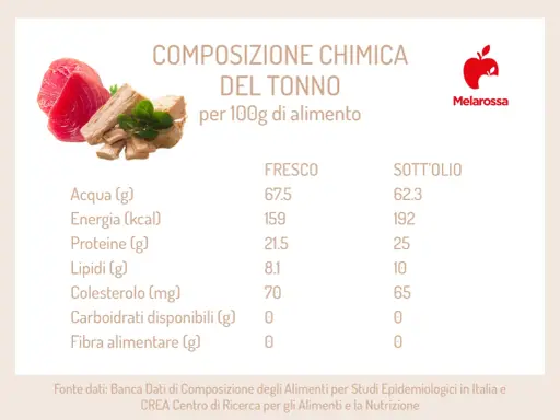 Composizione chimica del tonno: scopri le proprietà nutrizionali del tonno fresco e sott'olio per 100g.
