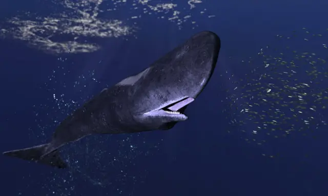 Un capodoglio più grande del mondo nuota nell'oceano blu, circondato da un banco di pesci scintillanti.