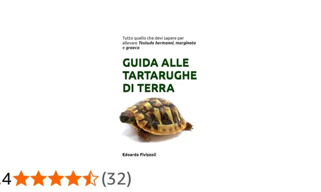 Guida alle tartarughe di terra, con focus su Testudo hermanni, marginata e graeca. Immagine di una tartaruga terrestre.
