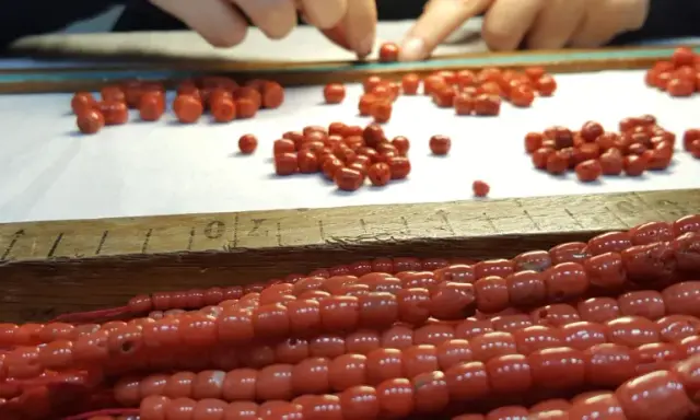 Mani che selezionano perle di corallo rosso, un processo che ricorda come si pulisce il corallo per creare gioielli.