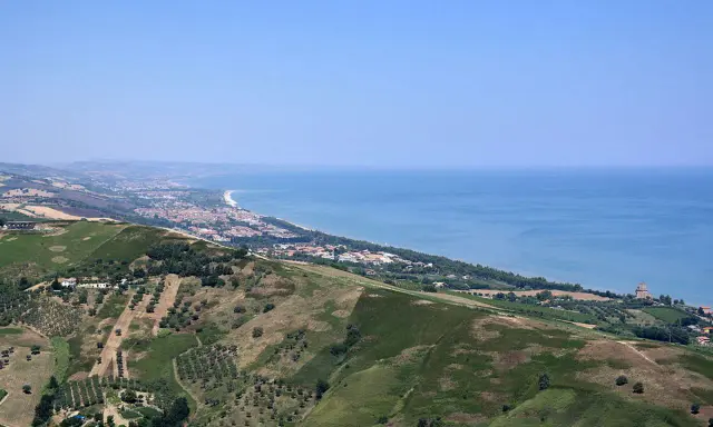 Panoramica collinare con uliveti e vigneti che scende verso la costa adriatica, con la città di Teramo e il mare sullo sfondo.