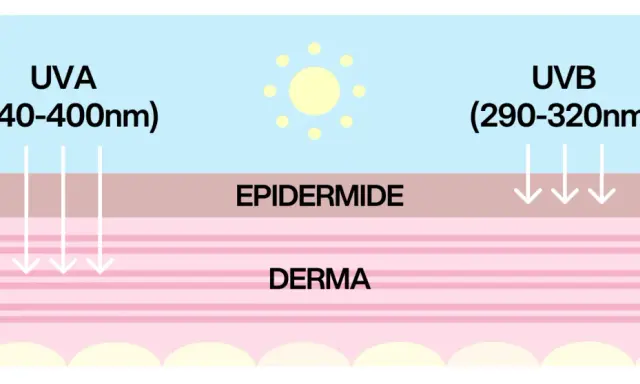 Schema che illustra come i raggi UVA e UVB penetrano nella pelle. La protezione 20 quanto protegge dipende da questi raggi.