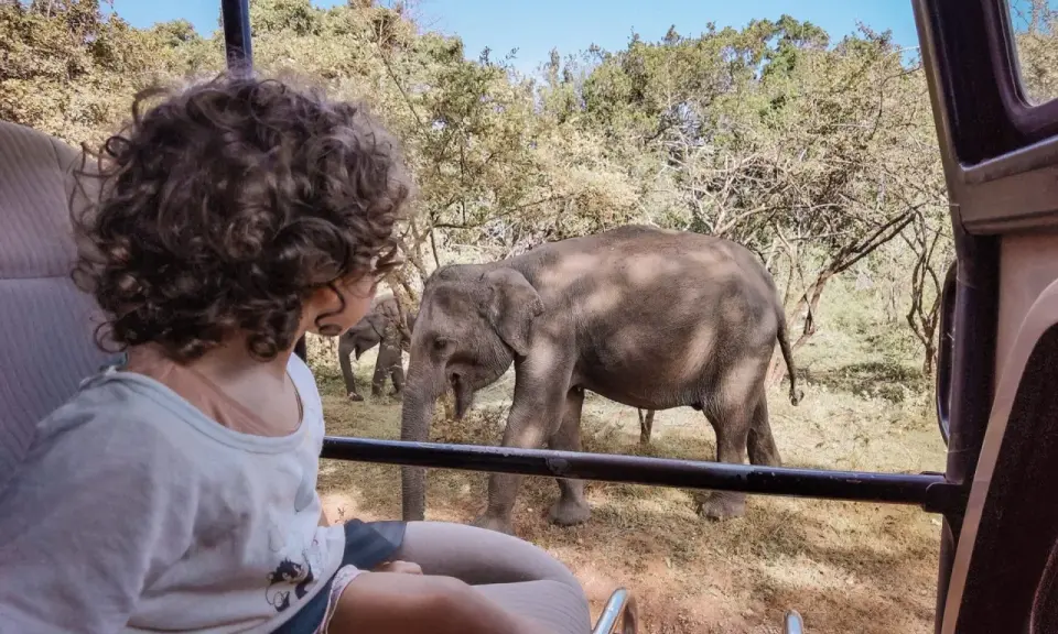 Bambini in safari in Sri Lanka osservano elefanti nella savana. Un'avventura indimenticabile per tutta la famiglia.