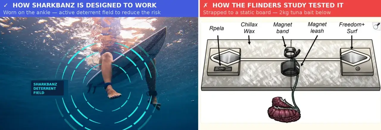 Surfista con Sharkbanz alla caviglia, un repellente per squali che crea un campo deterrente. A destra, uno schema di test con esca.