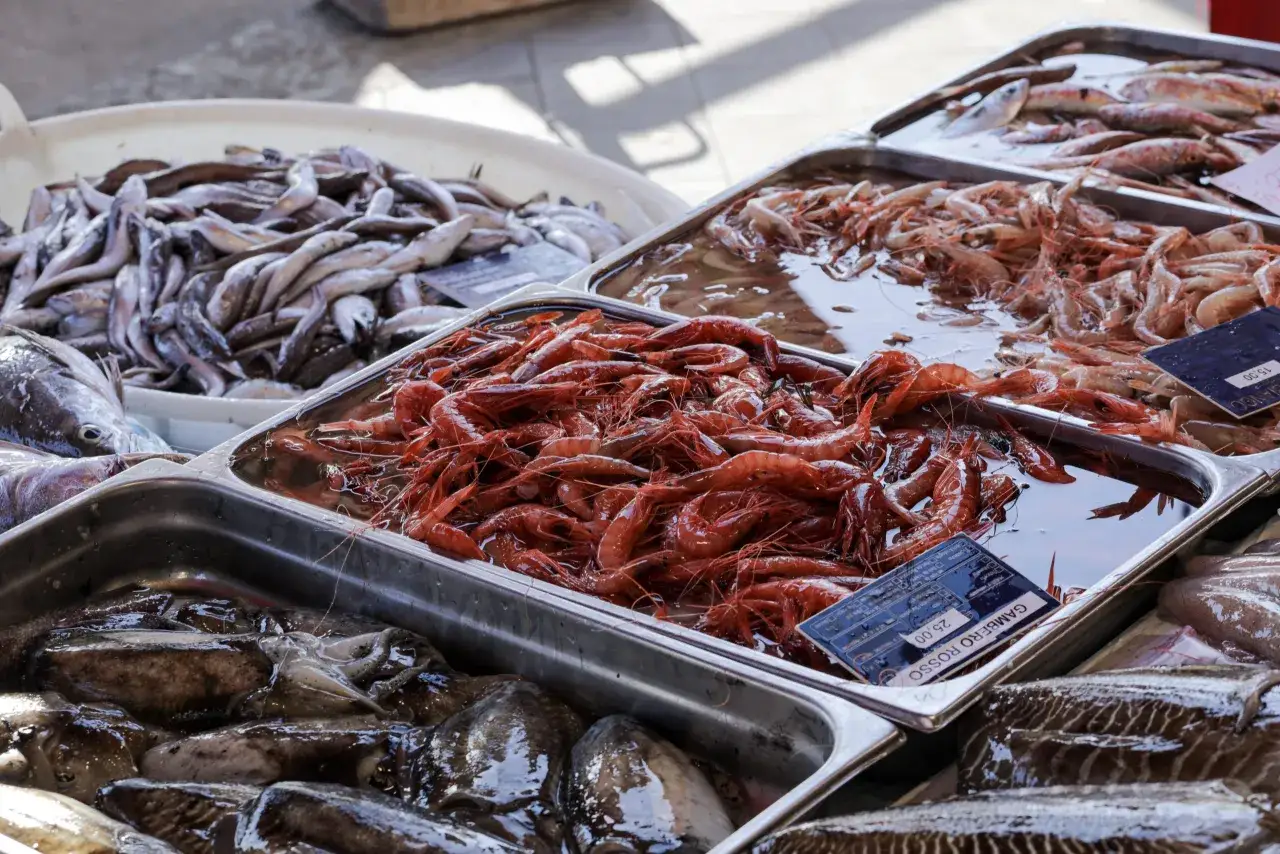 Mercato del pesce con gamberi rossi, calamari e pesciolini del Mediterraneo, pronti per essere gustati.