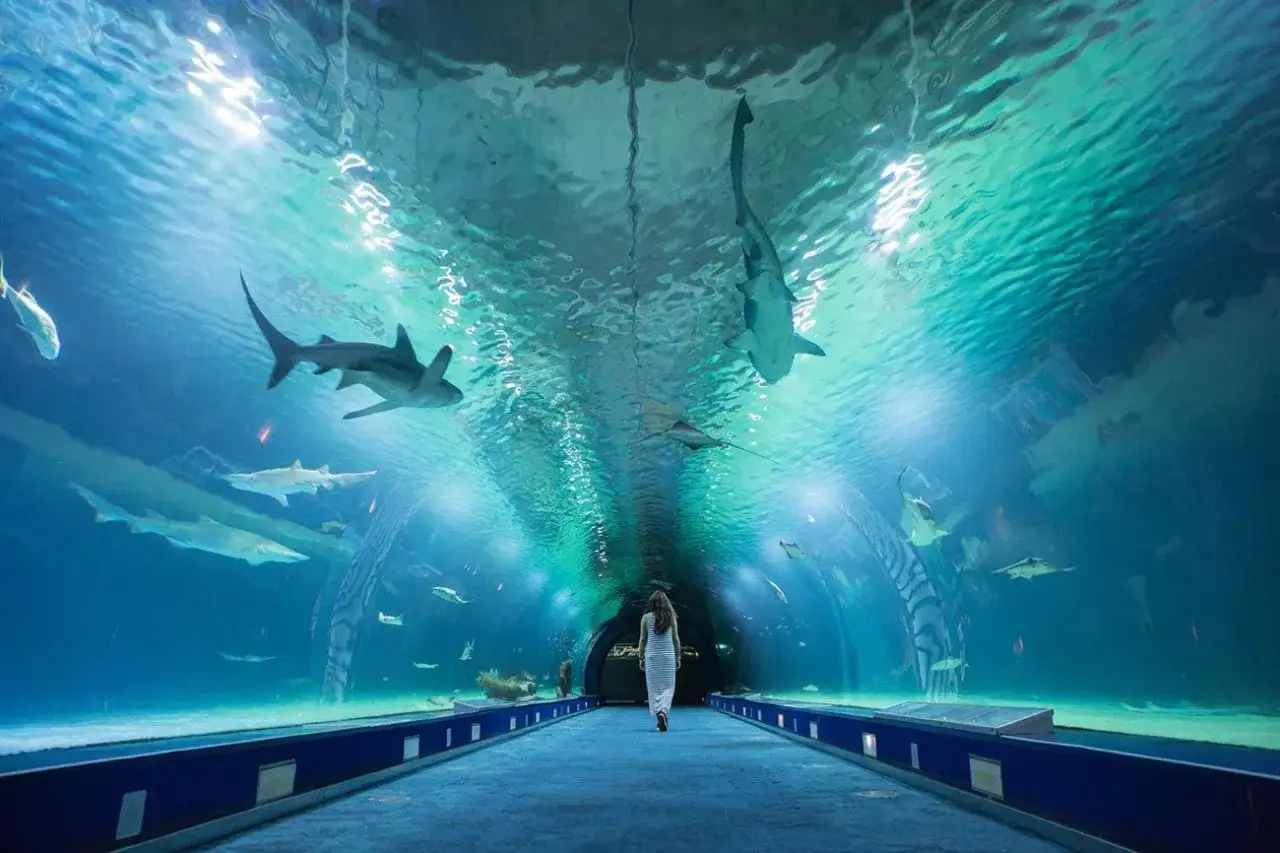 A woman walks through an underwater tunnel with sharks and other fish swimming above and around her.
