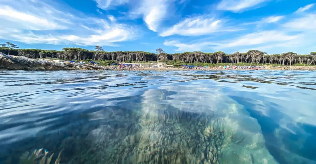 Acque cristalline e un mare bello in Toscana, con una pineta rigogliosa che fa da cornice a una spiaggia affollata sotto un cielo azzurro.