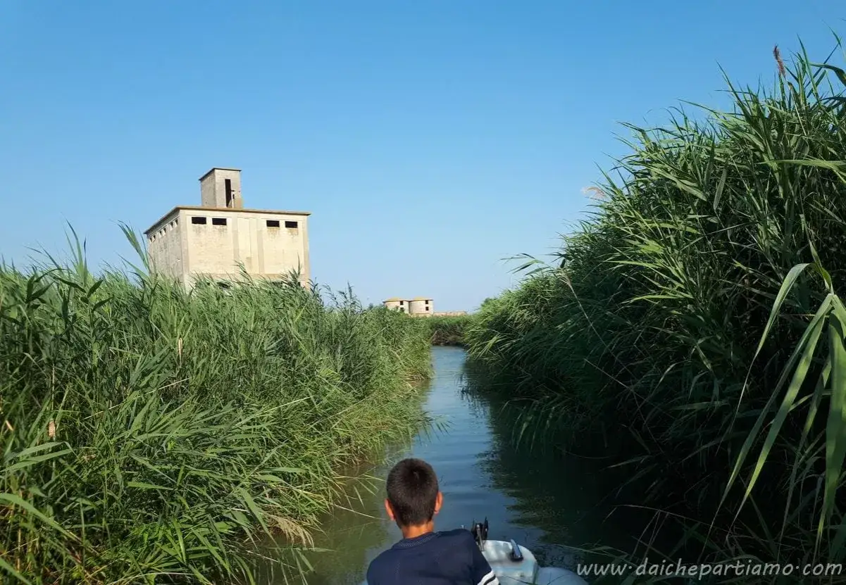 Gita nel Delta del Po con bambini: un ragazzo in barca naviga tra canneti rigogliosi verso antichi edifici abbandonati.