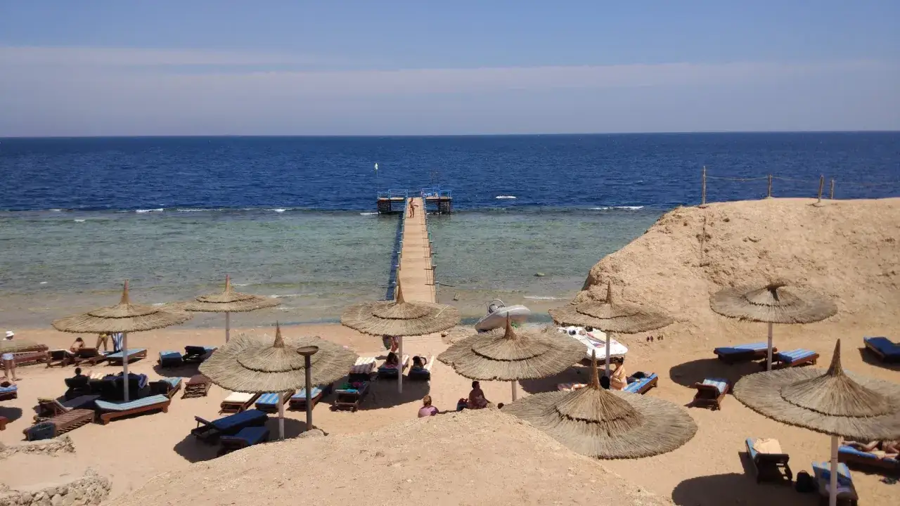 Spiaggia del Futura Club Albatros Palace Sharm, con lettini, ombrelloni e un pontile sul mare cristallino.