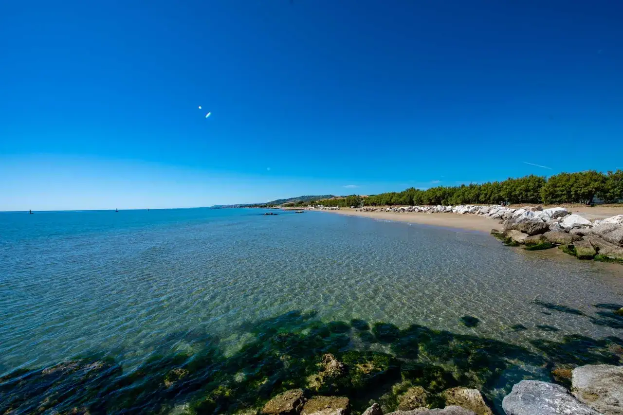 Spiaggia di Teramo mare con acque cristalline, sabbia dorata e una pineta rigogliosa.