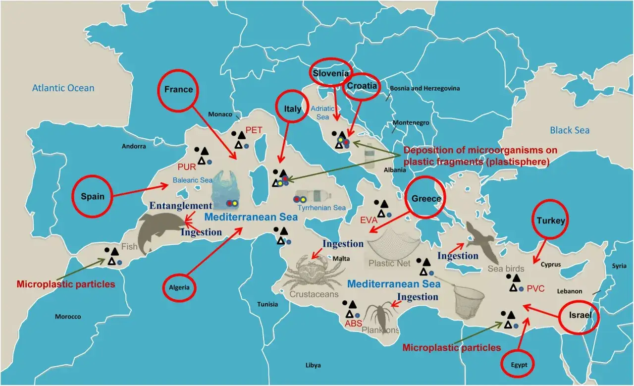 Mappa del Mediterraneo che illustra l'inquinamento marino: microplastiche, reti da pesca e ingestione da parte di fauna marina.